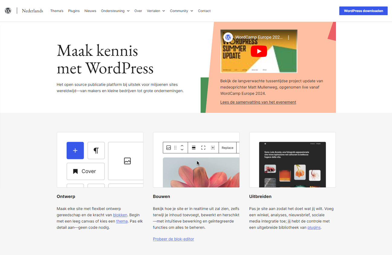 Wordpress screenshot website